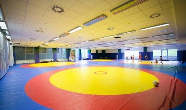 Фотография Центр боевых искусств Дворца единоборств 