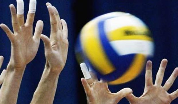 Фотография Волейбольная площадка Базы отдыха 